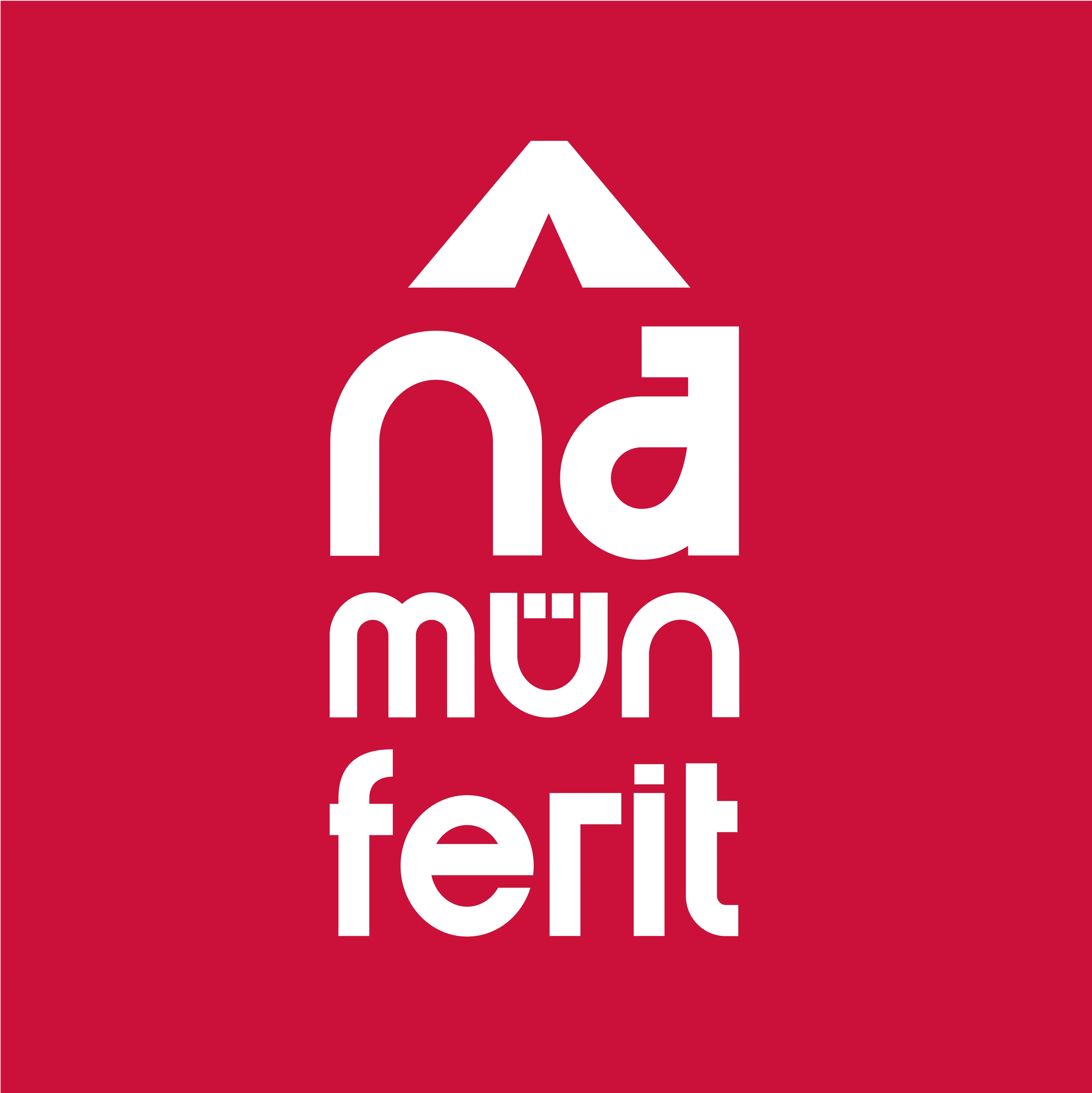 Nâmünferit